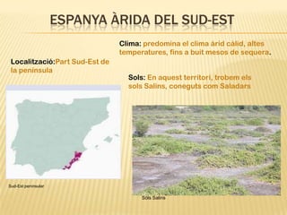 ESPANYA ÀRIDA DEL SUD-EST
                                Clima: predomina el clima àrid càlid, altes
                                temperatures, fins a buit mesos de sequera.
 Localització:Part Sud-Est de
 la península
                                  Sols: En aquest territori, trobem els
                                  sols Salins, coneguts com Saladars




Sud-Est peninsular

                                      Sòls Salins
 