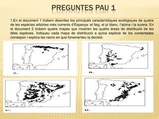 PREGUNTES PAU 1
1.En el document 1 trobem descrites les principals característiques ecològiques de quatre
de les espècies arbòries més corrents d’Espanya: el faig, el pi blanc, l’alzina i la surera. En
el document 2 trobem quatre mapes que mostren les quatre àrees de distribució de les
dites espècies. Indiqueu cada mapa de distribució a quina espècie de les comentades
correspon i explica les raons en que fonamenteu la decisió.
 