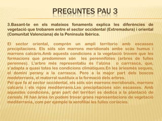 PREGUNTES PAU 3
3.Basant-te en els mateixos fonaments explica les diferències de
vegetació que trobarem entre el sector occidental (Extremadura) i oriental
(Comunitat Valenciana) de la Península Ibèrica.

El sector oriental, comprén un ampli territorio amb escasses
precipitacions. Els sòls són marrons meridionals ambe scás humus i
marrons calcàris.Amb aquests condicions a la vegetació trovem que les
formacions que predominen són les perennifòlies (arbres de fulles
perennes). L’arbre més representatiu és l’alzina o carrrasca, que,
s’adapta a quasi totes les condicions climàtiques.En les àriesmés seques,
el domini perany a la carrasca. Pero a la major part dels boscos
medeterranis, el matorral sustituix a la formació dels arbres.
Pel que fa al sector occidental, els sòls són marrons meridionals, marrons
calcaris i els rojos mediterranis.Les precipitacions són escasses. Amb
aquestes condicions, gran part del territori es dedica a la plantació de
cereals. Hi han àries ón podem trovar grans representacions de vegetació
mediterrania, com per ejemple la xerofíliai les fulles coriàcies.
 