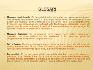 GLOSARI
   Marrons meridionals: És la varietat àrida de les terres brunes oceàniques,
    i és el tipus de sòl més comú a l'Espanya silícia seca. El seu horitzó A és
    pobre en humus, com correspon a un nivell baix de precipitacions.
    Presenta una estructura de material solt, fàcilment erosionable. És un sòl
    pobre (per la seva acidesa) i dedicat fonamentalment al pasturatge. És
    típic de l'oest de la Meseta i d'Andalusia.

   Marrons Calcaris: És la mateixa terra bruna però sobre roca mare
    calcària. La seva estructura és semblant a la, anterior, però és
    lleugerament alcalí i molt bo per al cultiu.

   Terra Rossa: També sobre roca mare calcària, és un tipus de sòl propi de
    l'àmbit mediterrani. És un sòl de pH neutre, pobre en bases, sense humus
    i d'escassos rendiments agrícoles, al predominen les brolles.

   Perennifoli: El terme perennifoli procedeix del llatí perennis, durador,
    perenne, i de folium, fulla. Tot i que hi ha en zones d'estacions fredes,
    sempre manté el fullatge. S'utilitza per designar els arbres o arbustos que
    tenen fulles vives al llarg de tot l'any, com a alternativa a caducifoli.
 