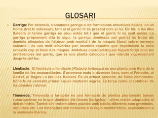 GLOSARI
   Garriga: Per extensió, s'anomena garriga a les formacions arbustives baixes, on un
    Home dret hi sobresurt, tant si el garric hi és present com si no. De fet, a les illes
    Balears el terme garriga és prou estès tot i que el garric hi és molt escàs. La
    garriga pròpiament dita (o sigui, la garriga dominada pel garric) es troba als
    dominis climàcics de l'alzinar amb marfull i de la màquia litoral sobre terrenys
    calcaris i es veu molt afavorida per incendis repetits que impedeixen la seva
    evolució cap al bosc o la màquia. Ambdues característiques lliguen força amb les
    preferències del garric, que és una planta calcícola i que rebrota vigorosament
    després del foc.

   Llentiscle: El llentiscle o llentiscla (Pistacia lentiscus) és una planta amb flors de la
    família de les anacardiàcies. S'anomena mata a diversos llocs, com al Penedès, al
    Garraf, al Bages i a les Illes Balears. És un arbust perenne, de fulles compostes.
    Dóna fruits vermells primer i quan maduren negres. És força comú al sotabosc de
    les pinedes i alzinar.

   Timoneda: Timoneda o farigolar és una formació de plantes plurianuals baixes
    subarbustives en la que dominen els timons (farigoles) i altres mates adaptades al
    dèficit hídric. També s'hi troben altres plantes amb hàbits diferents com gramínies,
    orquídies etc. Les timonedes són comunes a la regió mediterrània, especialment a
    la península Ibèrica.
 