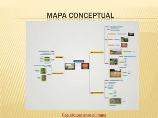 MAPA CONCEPTUAL




   Fes clic per anar al mapa
 