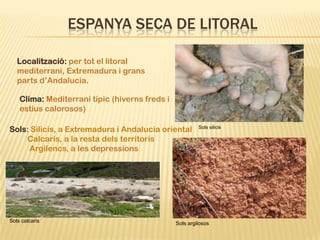 ESPANYA SECA DE LITORAL

   Localització: per tot el litoral
   mediterrani, Extremadura i grans
   parts d’Andalucia.

    Clima: Mediterrani típic (hiverns freds i
    estius calorosos)

Sols: Silicis, a Extremadura i Andalucia oriental        Sols silicis

    Calcaris, a la resta dels territoris
     Argilencs, a les depressions




Sols calcaris                                   Sols argilosos
 