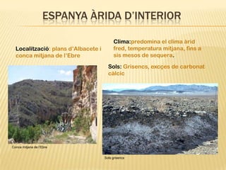 ESPANYA ÀRIDA D’INTERIOR

                                          Clima:predomina el clima àrid
  Localització: plans d’Albacete i        fred, temperatura mitjana, fins a
  conca mitjana de l’Ebre                 sis mesos de sequera.

                                       Sols: Grisencs, excçes de carbonat
                                       càlcic




Conca mitjana de l’Ebre


                                     Sols grisencs
 