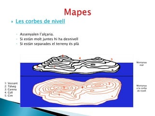    Les corbes de nivell

           ◦ Assenyalen l’alçaria.
           ◦ Si estàn molt juntes hi ha desnivell
           ◦ Si estàn separades el terreny és plà


                                         5
                                                    4           3
                                                                    Montanya
                                                                      real
                       2         1




1:   Vessant                                                3
2:   Tàlveg                                                         Montanya
                                         5              4           a la corba
3:   Carena                                                          de nivell
4:   Coll                  2
5:   Cim                             1
 