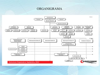 ORGANIGRAMA
 