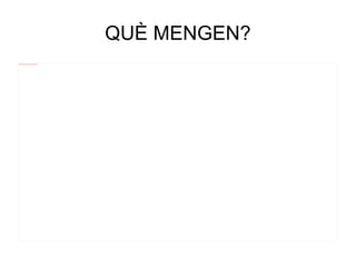 QUÈ MENGEN? 