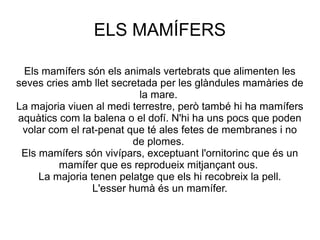 ELS MAMÍFERS

 Els mamífers són els animals vertebrats que alimenten les
seves cries amb llet secretada per les glàndules mamàries de
                           la mare.
La majoria viuen al medi terrestre, però també hi ha mamífers
aquàtics com la balena o el dofí. N'hi ha uns pocs que poden
 volar com el rat-penat que té ales fetes de membranes i no
                          de plomes.
 Els mamífers són vivípars, exceptuant l'ornitorinc que és un
         mamífer que es reprodueix mitjançant ous.
     La majoria tenen pelatge que els hi recobreix la pell.
                 L'esser humà és un mamífer.
 