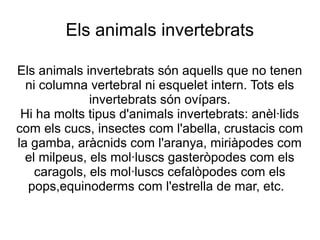 Els animals invertebrats

Els animals invertebrats són aquells que no tenen
  ni columna vertebral ni esquelet intern. Tots els
              invertebrats són ovípars.
 Hi ha molts tipus d'animals invertebrats: anèl·lids
com els cucs, insectes com l'abella, crustacis com
la gamba, aràcnids com l'aranya, miriàpodes com
  el milpeus, els mol·luscs gasteròpodes com els
    caragols, els mol·luscs cefalòpodes com els
  pops,equinoderms com l'estrella de mar, etc.
 