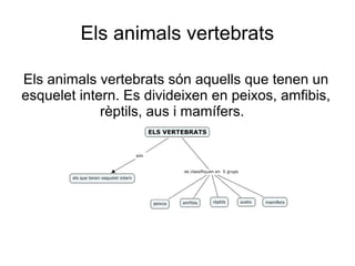 Els animals vertebrats

Els animals vertebrats són aquells que tenen un
esquelet intern. Es divideixen en peixos, amfibis,
             rèptils, aus i mamífers.
 