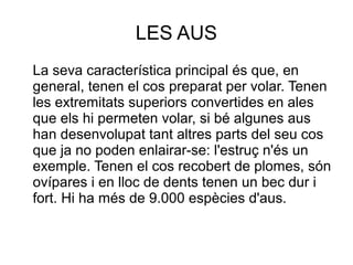 LES AUS
La seva característica principal és que, en
general, tenen el cos preparat per volar. Tenen
les extremitats superiors convertides en ales
que els hi permeten volar, si bé algunes aus
han desenvolupat tant altres parts del seu cos
que ja no poden enlairar-se: l'estruç n'és un
exemple. Tenen el cos recobert de plomes, són
ovípares i en lloc de dents tenen un bec dur i
fort. Hi ha més de 9.000 espècies d'aus.
 