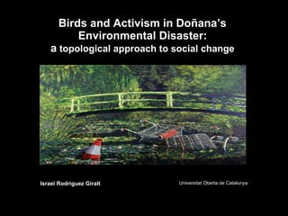 Birds and Activism in Doñana’s  Environmental Disaster:   a  topological approach to social change   Universitat Oberta de Catalunya Israel Rodríguez Giralt 