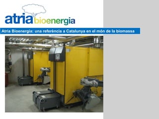 Atria Bioenergia: una referència a Catalunya en el món de la biomassa
 