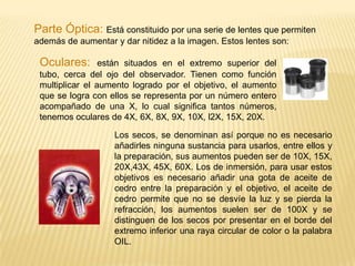 Pantalla fluorescente que recoge la imagen para hacerla visible al ojo humano.Con estos poderosos instrumentos, que utilizan flujo de electrones y las radiaciones magnéticas así como la aplicación de técnicas histoquímicas y bioquímicas se han logrado grandes avances en la biología celular.