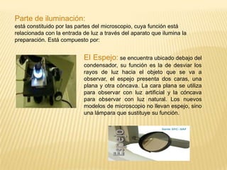 ¿Cómo está constituido un microscopio?El microscopio está formado por tres partes que son:Parte Mecánica: Son una serie de piezas donde se instalan los lentes y posee mecanismos de movimiento controlado para el enfoque, las piezas que forman este sistema son:Resorte o eje de inclinación, tornillo fijo que une la columna al brazo y se conoce también como "charnela", permite inclinar el microscopio y poder observar con facilidad las preparaciones. 