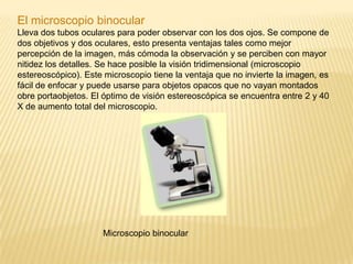 El microscopio binocularLleva dos tubos oculares para poder observar con los dos ojos. Se compone de dos objetivos y dos oculares, esto presenta ventajas tales como mejor percepción de la imagen, más cómoda la observación y se perciben con mayor nitidez los detalles. Se hace posible la visión tridimensional (microscopio estereoscópico). Este microscopio tiene la ventaja que no invierte la imagen, es fácil de enfocar y puede usarse para objetos opacos que no vayan montados obre portaobjetos. El óptimo de visión estereoscópica se encuentra entre 2 y 40 X de aumento total del microscopio.                                   Microscopio binocular
