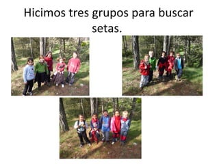 Hicimos tres grupos para buscar
             setas.
 