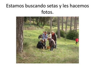 Estamos buscando setas y les hacemos
              fotos.
 