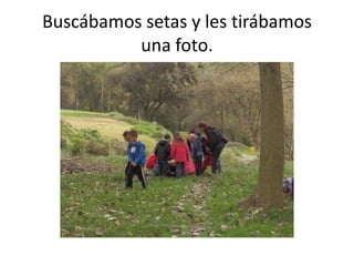 Buscábamos setas y les tirábamos
          una foto.
 