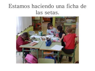 Estamos haciendo una ficha de
         las setas.
 