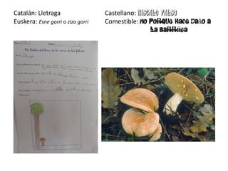 Catalán: Lletraga                  Castellano:
Euskera: Esne gorri o ziza gorri   Comestible:   ñ
 