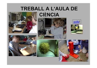 TREBALL A L’AULA DE
     CIÈNCIA
                 polls!

                 Paquete
 