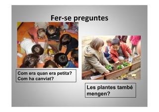 Fer-se preguntes




Com era quan era petita?
Com ha canviat?
                           Les plantes també
                           mengen?
 