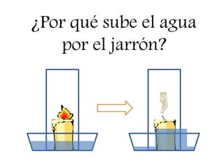 ¿Por qué sube el agua
    por el jarrón?
 