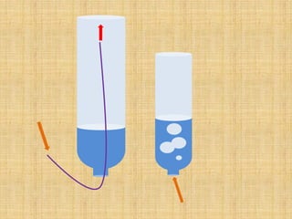 Presentación de divulgaciencia