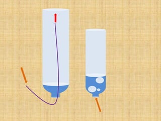 Presentación de divulgaciencia