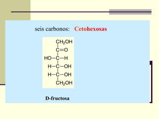 Carbohidratos- quimica biologica