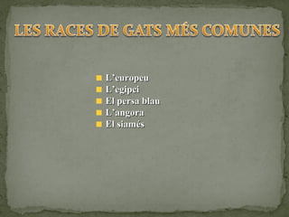 L’europeu L’egipci El persa blau L’angora El siamés 
