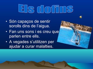• Són capaços de sentir
  sorolls dins de l’aigua.
• Fan uns sons i es creu que
  parlen entre ells.
• A vegades s’utilitzen per
  ajudar a curar malalties.
 