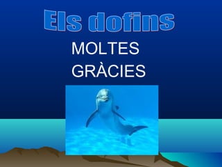 MOLTES
GRÀCIES
 