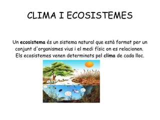 CLIMA I ECOSISTEMES 
Un ecosistema és un sistema natural que està format per un 
conjunt d'organismes vius i el medi físic on es relacionen. 
Els ecosistemes venen determinats pel clima de cada lloc. 
 