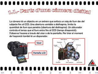 La càmera té un objectiu en un extrem que enfoca un raig de llum des del
subjecte fins al CCD. Una obertura variable o diafragma, limita la
quantitat de llum que penetra (obertura del diafragma). Un obturador
controla el temps que el llum entra fins al CCD (temps d'exposició).
S'observa l'escena a través del visor o de la pantalla. Per triar el moment
de l'exposició també té un disparador.
 