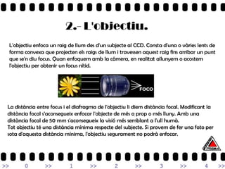 2.- L'objectiu.
L'objectiu enfoca un raig de llum des d'un subjecte al CCD. Consta d'una o vàries lents de
forma convexa que projecten els raigs de llum i travessen aquest raig fins arribar un punt
que se'n diu focus. Quan enfoquem amb la càmera, en realitat allunyem o acostem
l'objectiu per obtenir un focus nítid.




La distància entre focus i el diafragma de l'objectiu li diem distància focal. Modificant la
distància focal s’aconsegueix enfocar l'objecte de més a prop o més lluny. Amb una
distància focal de 50 mm s'aconsegueix la visió més semblant a l'ull humà.
Tot objectiu té una distància mínima respecte del subjecte. Si provem de fer una foto per
sota d'aquesta distància mínima, l'objectiu segurament no podrà enfocar.
 