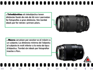 . Teleobjectius: els teleobjectius tenen
distàncies focals de més de 50 mm i permeten
fer fotografies a gran distància. Són també
ideals per fer retrats i primers plans.




. Macro: serveixen per acostar-se al màxim a
un subjecte. La distància mínima de l'objectiu
al subjecte és molt inferior a la resta de tipus
d'objectius. També són ideals per fotografiar
insectes o flors.
 