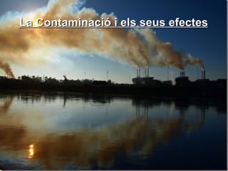 La Contaminació i els seus efectes 