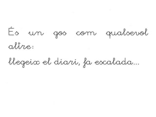 Presentació contes sant Jordi 2 A