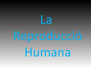 La
Reproducció
  Humana
 