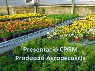 Presentació CPGM
Producció Agropecuària
 