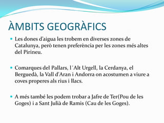 ÀMBITS GEOGRÀFICS
 Les dones d’aigua les trobem en diverses zones de
  Catalunya, però tenen preferència per les zones més altes
  del Pirineu.

 Comarques del Pallars, l´Alt Urgell, la Cerdanya, el
  Berguedà, la Vall d'Aran i Andorra on acostumen a viure a
  coves properes als rius i llacs.

 A més també les podem trobar a Jafre de Ter(Pou de les
  Goges) i a Sant Julià de Ramis (Cau de les Goges).
 