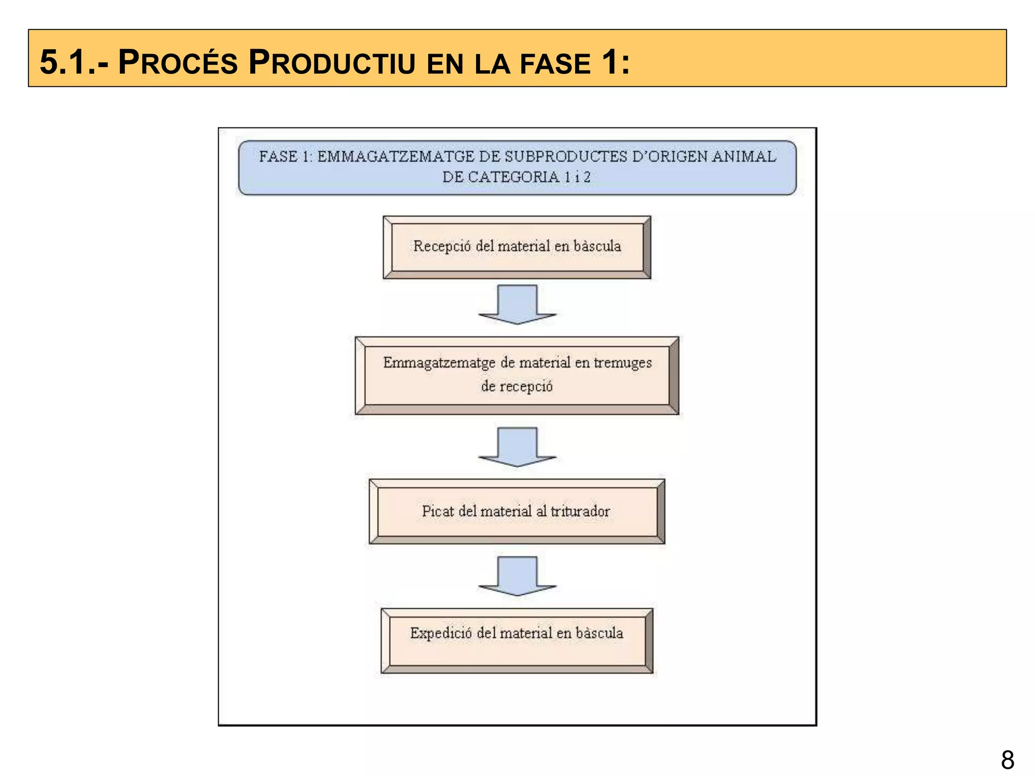 5.1.- PROCÉS PRODUCTIU EN LA FASE 1:
8
 