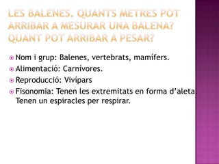  Nom  i grup: Balenes, vertebrats, mamífers.
 Alimentació: Carnívores.
 Reproducció: Vivípars
 Fisonomia: Tenen les extremitats en forma d’aleta.
  Tenen un espiracles per respirar.
 