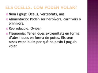  Nom   i grup: Ocells, vertebrats, aus.
 Alimentació: Poden ser herbívors, carnívors o
  omnívors.
 Reproducció: Ovípar.
 Fisonomia: Tenen dues extremitats en forma
  d’ales i dues en forma de potes. Els seus
  ossos estan buits per què no pesin i puguin
  volar.
 