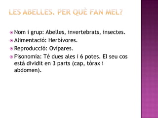  Nom  i grup: Abelles, invertebrats, insectes.
 Alimentació: Herbívores.
 Reproducció: Ovípares.
 Fisonomia: Té dues ales i 6 potes. El seu cos
  està dividit en 3 parts (cap, tòrax i
  abdomen).
 