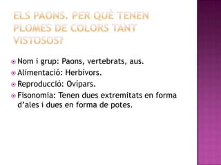  Nom  i grup: Paons, vertebrats, aus.
 Alimentació: Herbívors.
 Reproducció: Ovípars.
 Fisonomia: Tenen dues extremitats en forma
  d’ales i dues en forma de potes.
 