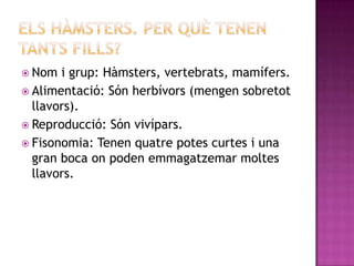  Nom  i grup: Hàmsters, vertebrats, mamífers.
 Alimentació: Són herbívors (mengen sobretot
  llavors).
 Reproducció: Són vivípars.
 Fisonomia: Tenen quatre potes curtes i una
  gran boca on poden emmagatzemar moltes
  llavors.
 
