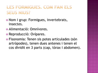  Nom  i grup: Formigues, invertebrats,
  insectes.
 Alimentació: Omnívores.
 Reproducció: Ovípares.
 Fisonomia: Tenen sis potes articulades (són
  artròpodes), tenen dues antenes i tenen el
  cos dividit en 3 parts (cap, tòrax i abdomen).
 